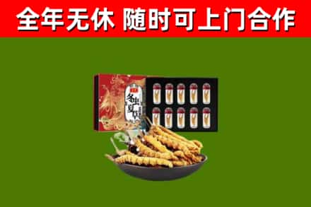 洛阳回收冬虫夏草价格